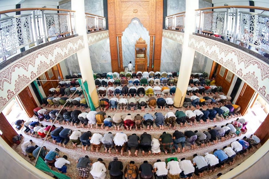 Sinergi Diplomasi Kemanusiaan Dunia Islam: Manifestasi Ukhuwah dalam Menghadapi Krisis Global