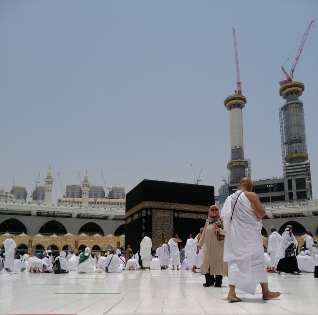 Diplomasi Kemanusiaan Dunia Islam Menguat, Indonesia Pelopor Bantuan Kawasan Konflik